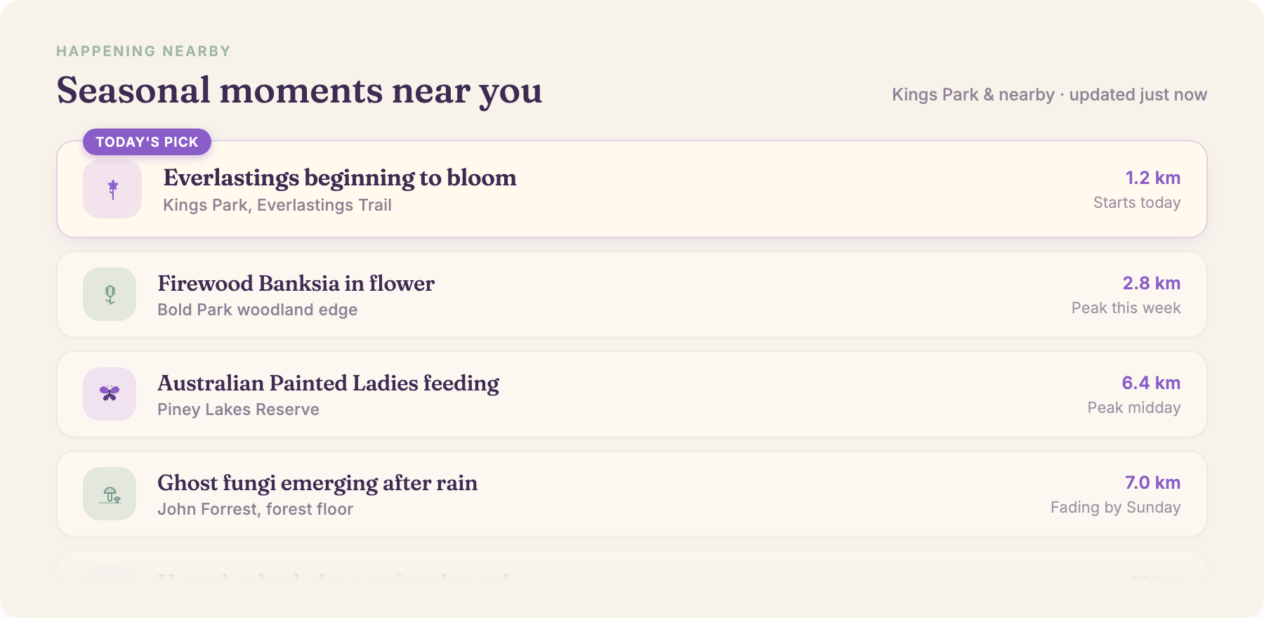 Syqei app showing seasonal moments near you